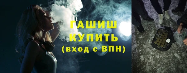 индика Богданович