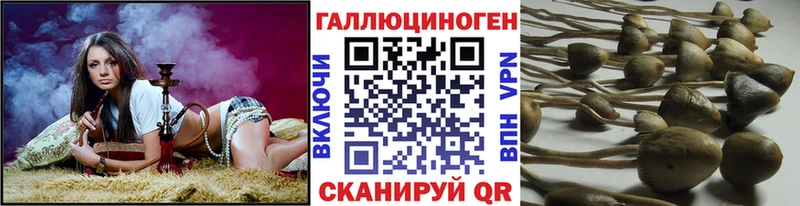 shop клад  Благодарный  Псилоцибиновые грибы GOLDEN TEACHER 